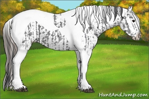 Horse Color:Black Ice Tobiano  and Black Ice Tobiano Varnish 