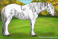 Horse Color:Black Ice Tobiano and Black Ice Tobiano Varnish