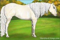 Horse Color:White Spotted Palomino Pearl Dun