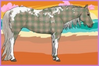 Horse Color:Plaid Silver Grullo Tobiano