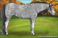 Horse Color:Blue Ice Roan and Blue Ice Roan Splash