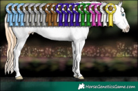 Horse Color:Buckskin Pearl Dun Splash Frame Blanket Rabicano 