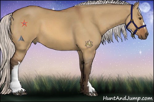 Horse Color:Silver Bay Dun