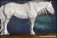 Horse Color:Chocolate Silver Grullo Chinchilla Sabino and White Spotted Chocolate Silver Grullo Chinchilla