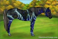 Horse Color:ERROR: UNKNOWN ANOMALY and ERROR: UNKNOWN ANOMALY