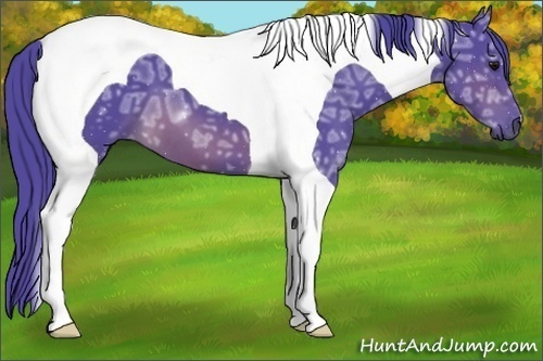 Horse Color:Watercolor Brown Ice Tobiano 