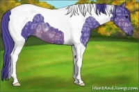 Horse Color:Watercolor Brown Ice Tobiano 