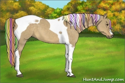 Horse Color:Painted Chocolate Palomino Dun Tobiano 