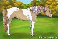 Horse Color:Painted Chocolate Palomino Dun Tobiano 