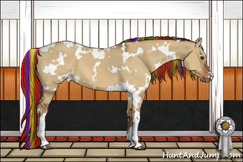 Horse Color:Painted White Spotted Red Dun 