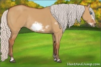 Horse Color:Silver Bay Dun Sabino Frame Rabicano