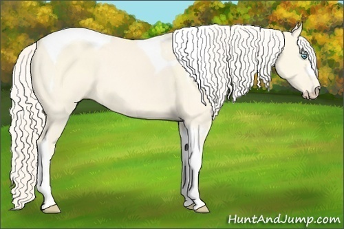 Horse Color:Cremello Dun Tobiano