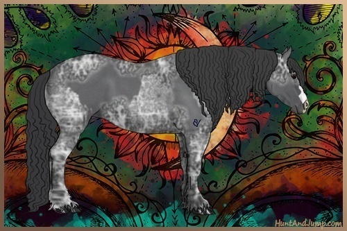 Horse Color:Blue Ice Roan and Blue Ice Roan