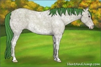 Horse Color:Watercolor Classic Champagne Ice Rabicano 