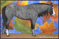 Horse Color:Blue Roan Sabino Splash  and Blue Roan Sabino Splash 