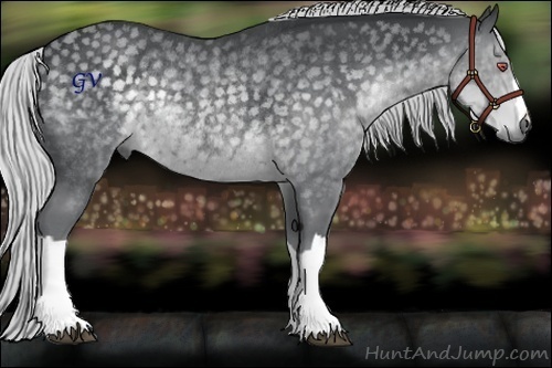 Horse Color:Silver Black Chinchilla Rabicano 
