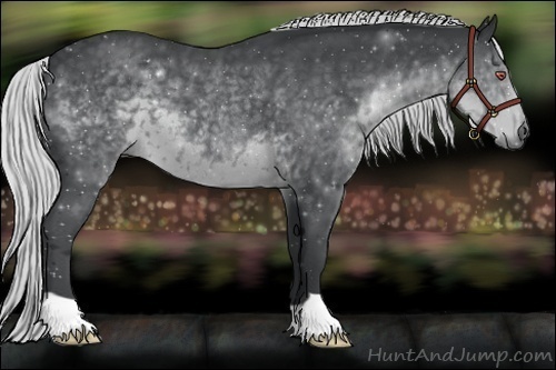 Horse Color:Silver Black Chinchilla 