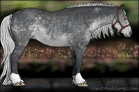 Horse Color:Silver Black Chinchilla