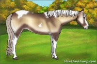 Horse Color:Silver Brown Onyx Sabino Tobiano 