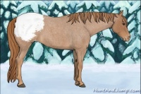 Horse Color:Red Roan Snowcap 