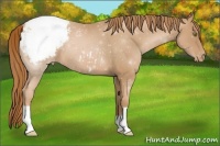 Horse Color:Red Roan Pearl Snowcap 
