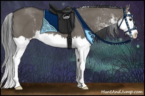 Horse Color:Smoky Grullo Sabino Splash