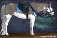 Horse Color:Smoky Grullo Sabino Splash