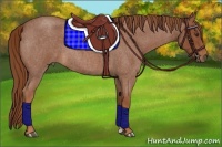 Horse Color:Red Roan 