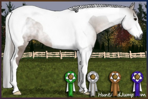 Horse Color:Gray Bay Tobiano Rabicano 