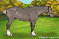 Horse Color:Silver Black Sabino