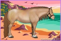 Horse Color:Brown Pearl Rabicano