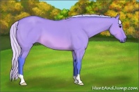 Horse Color:Watercolor Silver Brown Dun 