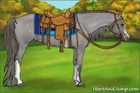 Horse Color:Grullo Appaloosa