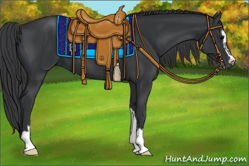 Horse Color:Black Sabino 