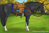 Horse Color:Black Sabino