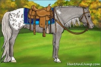 Horse Color:Silver Black Appaloosa 