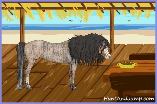 Horse Color:Blue Roan Sabino Splash and Bay Roan Sabino Splash