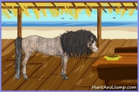 Horse Color:Blue Roan Sabino Splash and Bay Roan Sabino Splash