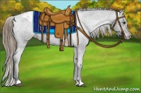 Horse Color:Smoky Black Appaloosa