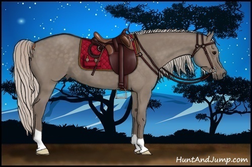 Horse Color:Silver Grullo 