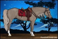Horse Color:Silver Grullo 