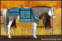 Horse Color:Liver Red Roan Splash 