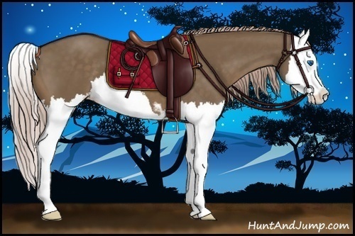 Horse Color:Chocolate Palomino Sabino Splash