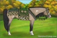 Horse Color:Buckskin Roan Dun Frame 