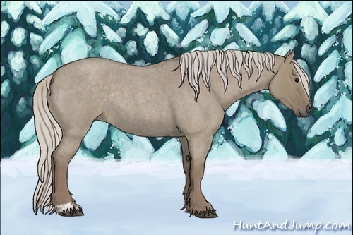 Horse Color:Silver Smoky Grullo Roan Sabino Rabicano
