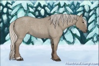 Horse Color:Silver Smoky Grullo Roan Sabino Rabicano 