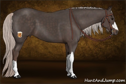 Horse Color:Silver Black 
