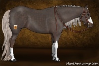Horse Color:Silver Black