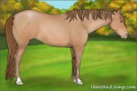 Horse Color:Brown Pearl 
