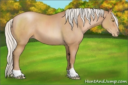 Horse Color:Silver Brown Pearl 